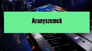 Aranyszemek KORG style by CSL Studio [upl. by Khudari]