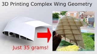 3D Printing Super Light Complex Wing Geometry [upl. by Htebazila269]