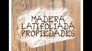 PROPIEDADES DE LA MATERIA LATIFOLIADA [upl. by Ellevel435]