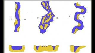 3 River Types braided meandering straight rirs with cross sections [upl. by Ennalyrehc121]