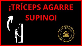 ¿Cómo hacer EXTENSIÓN de TRÍCEPS en POLEA ALTA UNILATERAL agarre SUPINO correctamente ✅ 8 [upl. by Holleran]