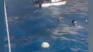 Naufragio Lampedusa le immagini dei soccorsi fatti dai turisti e lampedusani [upl. by Shanney]