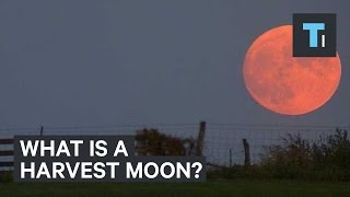 Here’s what a harvest moon actually is [upl. by Ika]