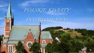 Polskie Kwiaty Instrumental [upl. by Acsirp]