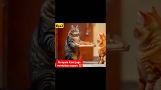 Popon si kucing mandiri eps2 shortvideo cat drama [upl. by Carin]