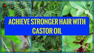 What are the Different Ways to Apply Castor Oil to Hair [upl. by Horatius]