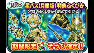 星のドラゴンクエスト（星ドラ）１１月分の星パスガチャはいいですね！＆明日は大事な日なのでガヤを回します！2451 [upl. by Imelida]