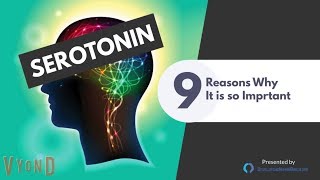 Serotonin Function and 9 Reasons Why Its So Important [upl. by Rees]