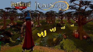 After Buying Premier Membership Im BROKE Now Its Time To Rebuild  Runescape 3 Road To Alt EP1 [upl. by Viva]