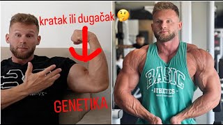 Genetika u bodibildingu l Da li imam dobru genetiku [upl. by Ciapha]