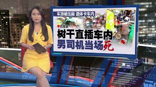 压烂多车和巴士亭超恐怖！ 隆市区大树倒压马路1死2伤  新闻报报看 07052024 [upl. by Trace]