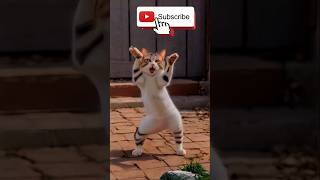 Whisker joy whisker whimsy pawsitive vibes kitten capers viralvideo viralsong ytshort [upl. by Terag]