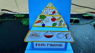 Food Pyramid  EVS TLM  TLM for primary school  Food [upl. by Akira126]