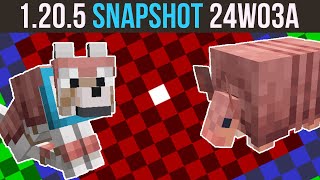 Minecraft 1205 Snapshot 24W03A  Spawn Chunks Gamerule  Armadillo amp Wolf New Looks [upl. by Emawk]