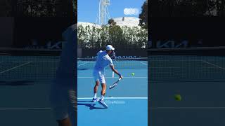 Forehand Compilation  Novak Djokovic Slow Motion Back View 1 Shorts [upl. by Pokorny]