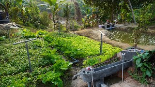 Mini Hydropower Construction And Manufacturing Unique Vegetable Irrigation System [upl. by Airym]