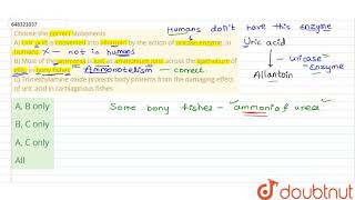 Choose the correct statements A Uric acid is converted into allantoin by the action of uricase [upl. by Proffitt850]