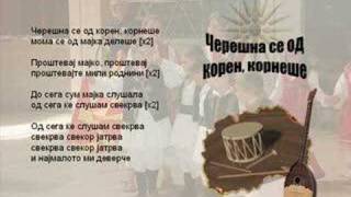 Ceresna Se Od Koren Kornese  Macedonian Song [upl. by Aridaj]