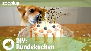 Hundekuchen backen  Tierisch einfach DIY mit Luisa  zooplus [upl. by Airotciv859]