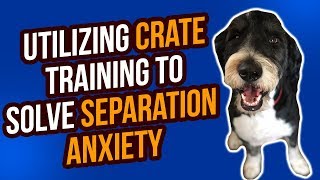 UTILIZING CRATE TRAINING TO SOLVE SEPARATION ANXIETY [upl. by Introc]