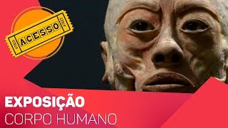 Exposição do Corpo humano  TV SOROCABASBT [upl. by Bernita468]