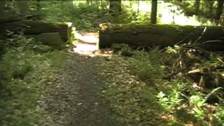 Hearts Content in Allegheny National Forest [upl. by Atile]