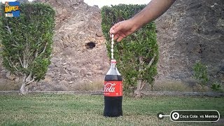 How to make Coke and Mentos Volcano  Coca Cola VS Mentos Experiment Reaction  cokeandmentos [upl. by Kluge703]