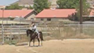 SKRampR Ranch Horse Versatility  Trail Class  Novice [upl. by Otrevlig534]