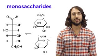 Carbohydrates Part 1 Simple Sugars and Fischer Projections [upl. by Constancia]