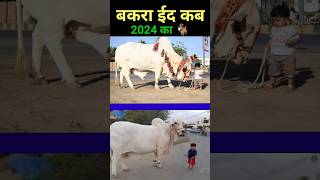 बकरा ईद कब है 2024 का  Bakra Eid kab hai 2024  Eid ul adha Date 2024  eid islamic shorts [upl. by Kcirttap]