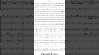 quotCantina Bandquot by John Williams for concert band [upl. by Ekard718]