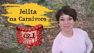 Jelita na Carnivore cz1 WZJG i choroba LC Badanie naukowe [upl. by Nuli282]