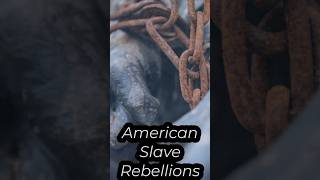 American Slave Rebellions [upl. by Colwin]