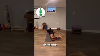 Prone Low Back Exercises  PAIN RELIEF ⭐️ [upl. by Bobbye]