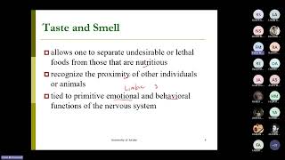 Neurophysiology L8 Gustatory and olfactory sensations and motor system Faisal Mohammed 20240518 1 [upl. by Morey410]