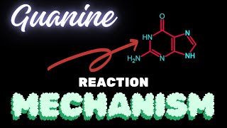 GuanineReaction Mechanism [upl. by Dreeda589]