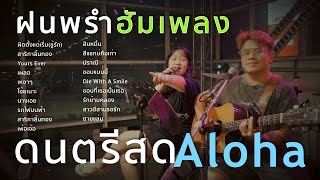 ผิดตั้งแต่เริ่มชู้รักสาริกาลิ้นทองYours Everเผลอ  ดนตรีสดAcoustic Cover [upl. by Mandal]