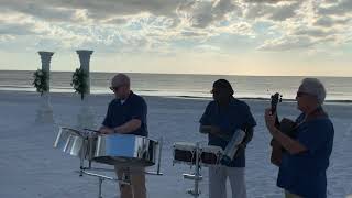 “Perfect” by Ed Sheeran on steel drums [upl. by Athena]