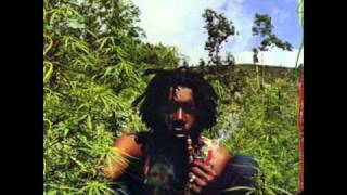 Peter Tosh  Whatcha gonna do [upl. by Starla708]