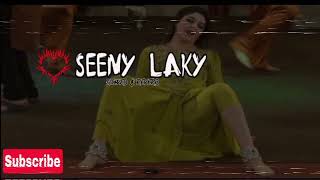 Seeny Laky  Slowed amp Reverb Mujra  Mariis Creation Hub  Punjabi Mujra 2022 [upl. by Ah850]