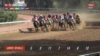 Live Hippodrome « CASABLANCA »  Courses du « 25082023 » [upl. by Eidnar427]