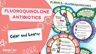 Fluoroquinolones Made Easy Mnemonics Mechanism of Action Side Effects Counseling [upl. by Adnicul]