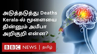 மூளையை தின்றுவிடும் அமீபா இது நுழைந்தால் நிச்சயம் மரணமா Brain Eating Ameoba Explained [upl. by Adnaugal]