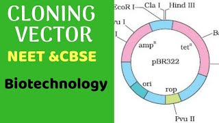 Cloning Vector  NEET CBSE  Biotechnology  Vinay Biology [upl. by Trisha]