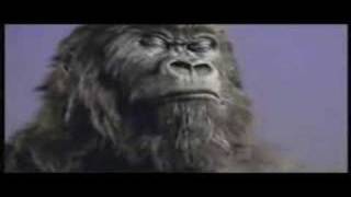 Cadbury Gorilla  In The Air Tonight Extended Mix [upl. by Almat]