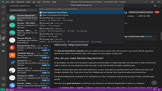 Remote Repositories for Visual Studio Code [upl. by Llerraj225]