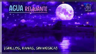 🐸Sonidos de AGUA RANAS y GRILLOS relajantes para DORMIR 😴🌧 [upl. by Aiek529]