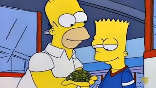 Aqui está tu tortuga sana y salva  Los Simpson [upl. by Wes]