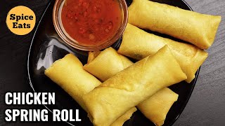 CHICKEN SPRING ROLLS RECIPE RESTAURANT STYLE  SPRING ROLLS RECIPE [upl. by Nnahgiel392]