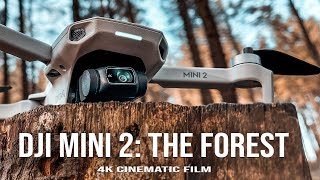 THE FOREST  DJI Mini 2 Cinematic 4K Video [upl. by Rosenbaum]